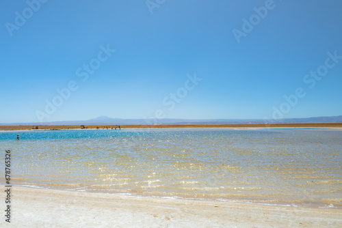 Atra    o tur  stia Laguna Piedras no deserto do Atacama. Lagoa com alta concentra    o de sal. 