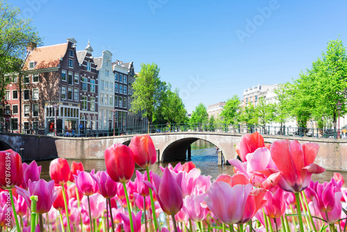 historical houses of Amsterdam over canal ring landmark in old european citye, Holand Netherlands. Amsterdam spring scenery with tulips