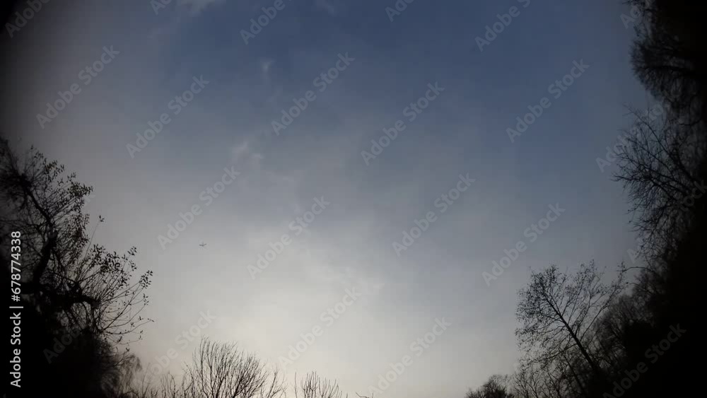 Blue sky with moving mist and clouds and black trees and branches on winter season - timelapse, panorama 180. Topics: weather, wintertime, meteorology, climate Blue sky with moving mist and clouds and black trees and branches on winter season - timelapse, panorama 180. Topics: weather, wintertime, meteorology, climate