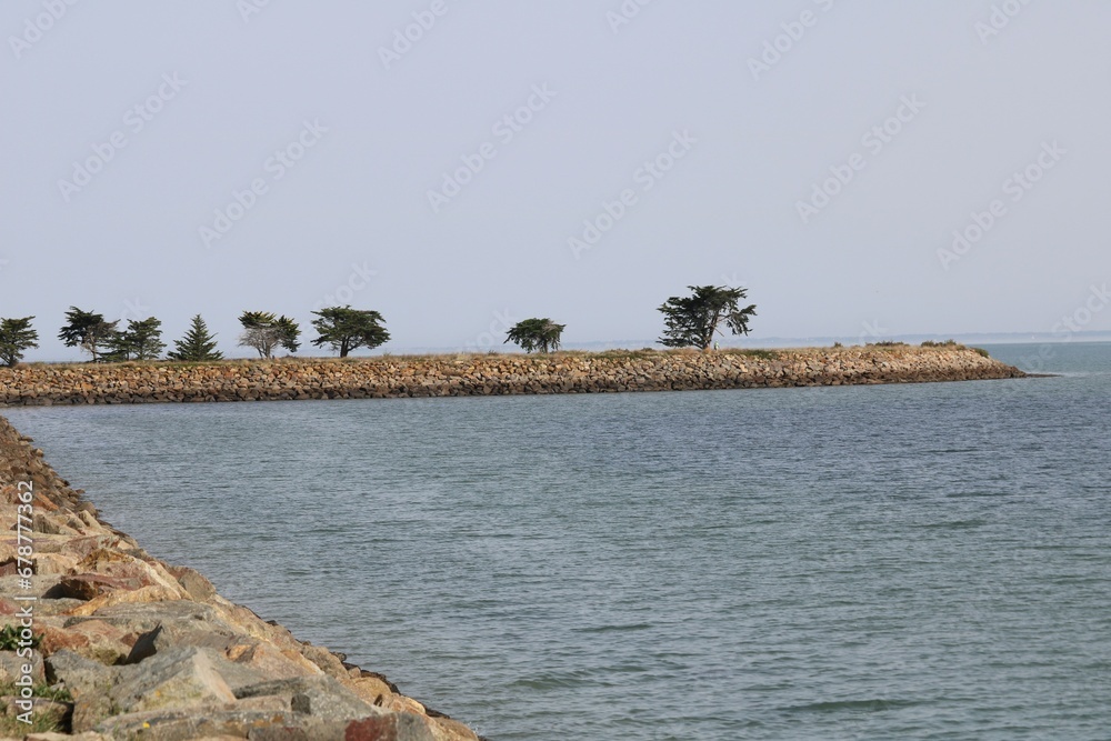 Réserve naturelle Noirmoutier