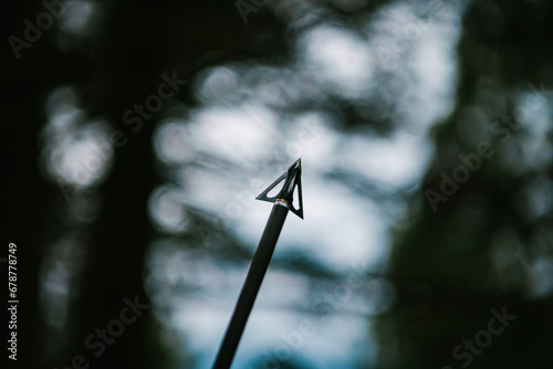 A bowhunter's steel arrow silhouetted against trees and sky at dawn photo