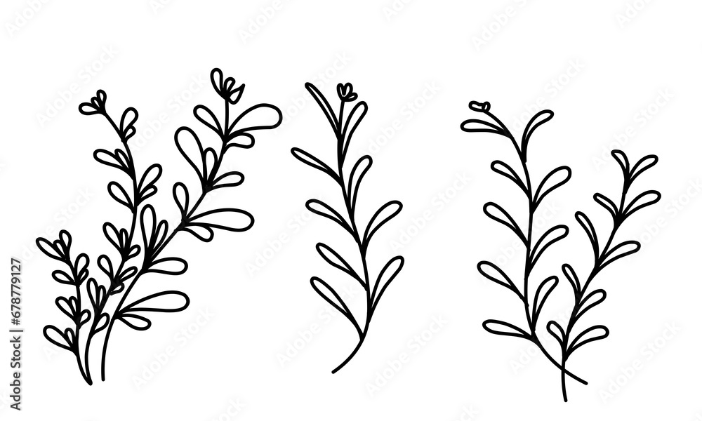 Floral branch and minimalist flowers for logo or tattoo. Hand drawn line wedding herb, elegant leaves for invitation save the date card. Botanical rustic trendy