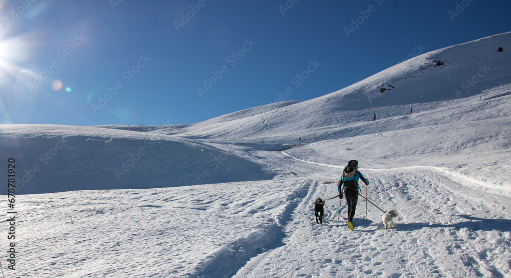 sportif en train d'escalader une montagne à pieds avec ses chiens dans la neige en hiver