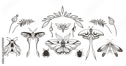 Mystical celestial moth and butterfly, beetle, floral elements and mushrooms clipart bundle, magic black and white insects silhouettes in vector, unreal hand drawn night moth, isolated designs