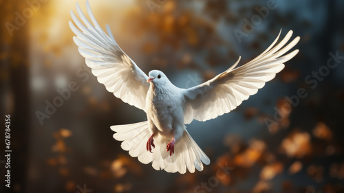 Heavenly white dove symbolizes love and peace © Krisana