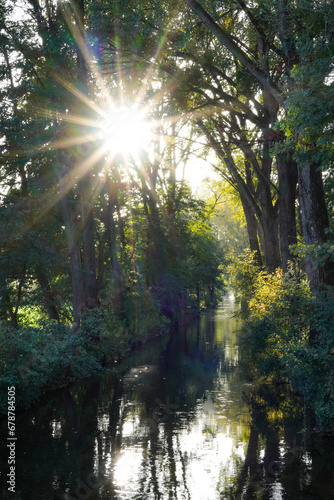 Romantic scenery: Sunrays penetrate trees along a small calm stream in summer season 