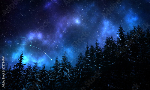 Little Bear (Ursa Minor) constellation in starry sky over conifer forest at night, low angle view photo