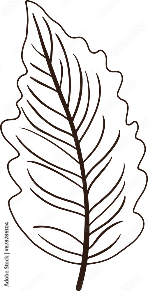 Fototapeta premium Simplicity autumn leaf freehand drawing.
