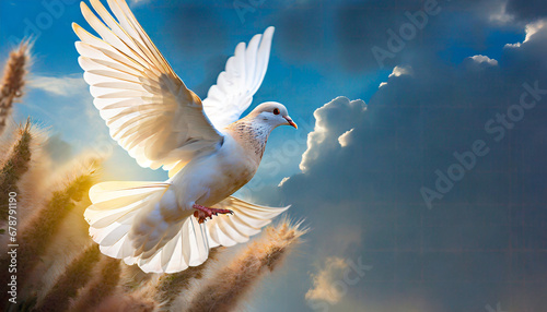 winged dove with copy space a representation of the new testament holy spirit photo