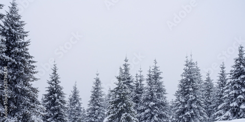 snow falling in the forest with Christmas tree  © arwiyada