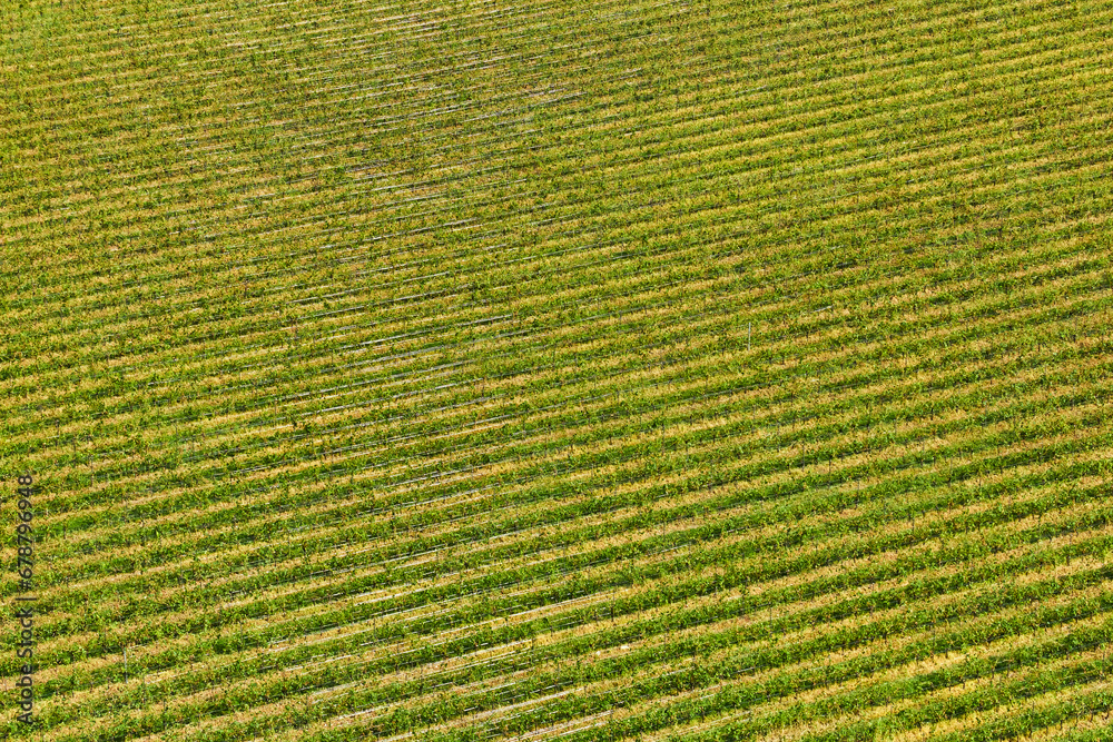 Beautiful panoramic view of the wine-growing area near San Martino della Battaglia near Lake Garda, Brescia, Italy. Beautiful panoramic view of the wine-growing area near San Martino della Battaglia near Lake Garda, Brescia, Italy.