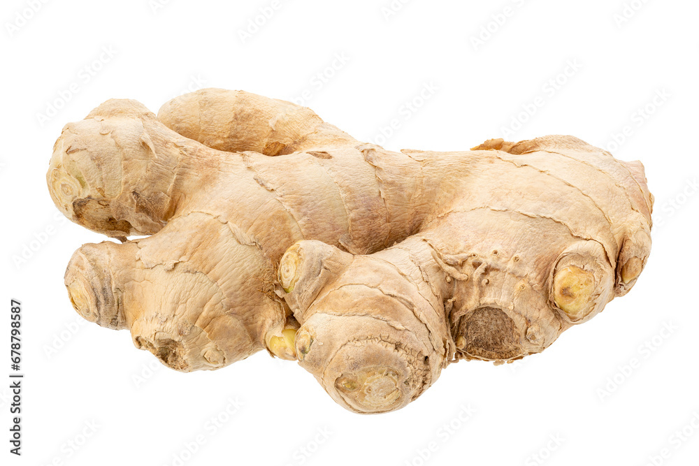 Fresh ginger rhizome with sliced isolated on white background. Fresh ginger rhizome with sliced isolated on white background.