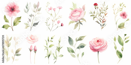 Watercolor plants illustrations with green, pink and white flowers.