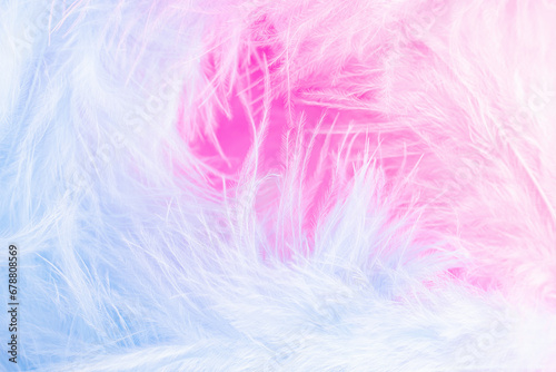 Blue and pink feathers in soft and blur style for background  macro shot. Baby Shower  girl or boy concept  birthday  Easter  baby newborn..