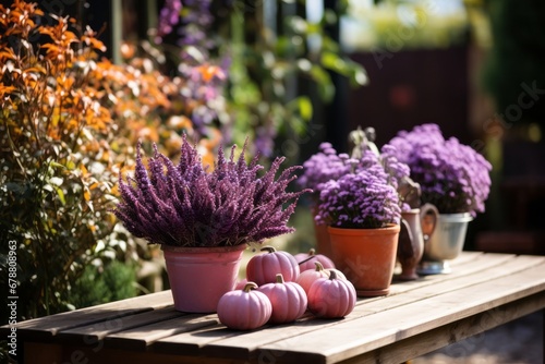 purple flower pot with pumpkin autumn season wooden terrace balcony beautiful house ideas concept