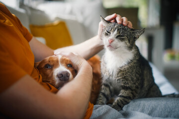 Man sitting on sofa with domestic animals. Pet owner stroking his old cat and dog together..