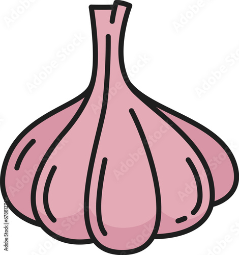 Garlic bulb, clove color vegetable outline icon. Vector bulbous plant, spice condiment, herb seasoning head of garlic, vegetarian spicy food