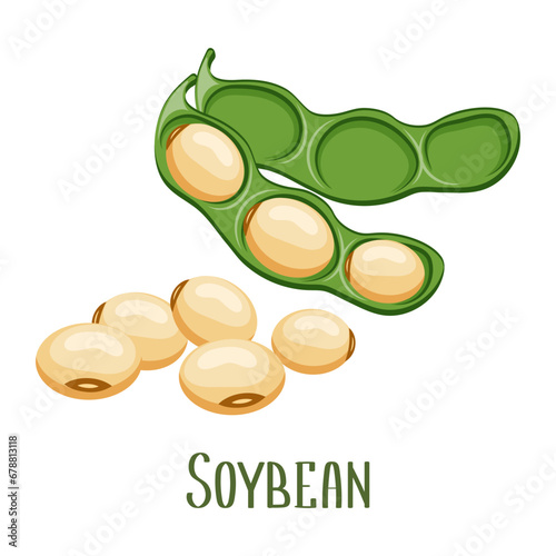 Soya beans. Soybeans in pods. Food, legumes, agriculture. Illustration, vector