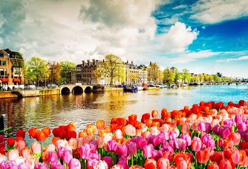 embankment of Amstel canal with spring tulips in Amsterdam, Netherlands, retro toned photo