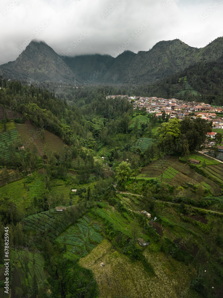 Exploring East Java's Beauty: Aerial View of Cemoro Lawang, a Rural Mountain Village Surrounded by Lush Green Fields and Fertile Countryside. Embark on a Vacation in Asia's Destination, Indonesia