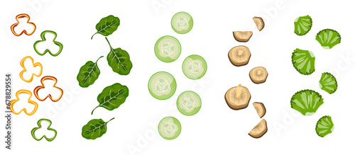 Vector illustration of flying or falling vegetables. Green leafy vegetables, cucumbers, bell peppers, shiitake mushrooms, broccoli and more. Chopped vegetables engraved for good health vector illustra