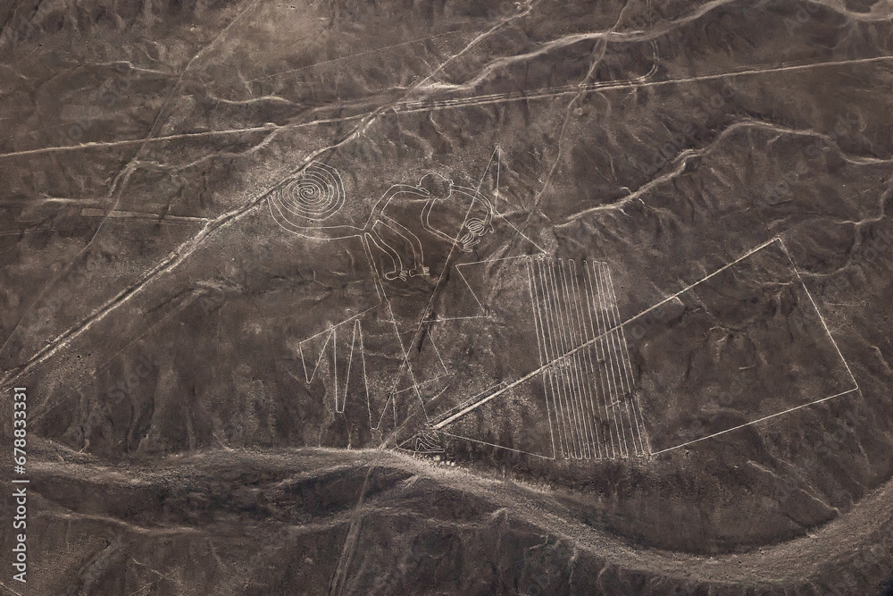 Nazca lines. Nazca geoglyphs . Monkey geoglyph on the Nazca Plateau