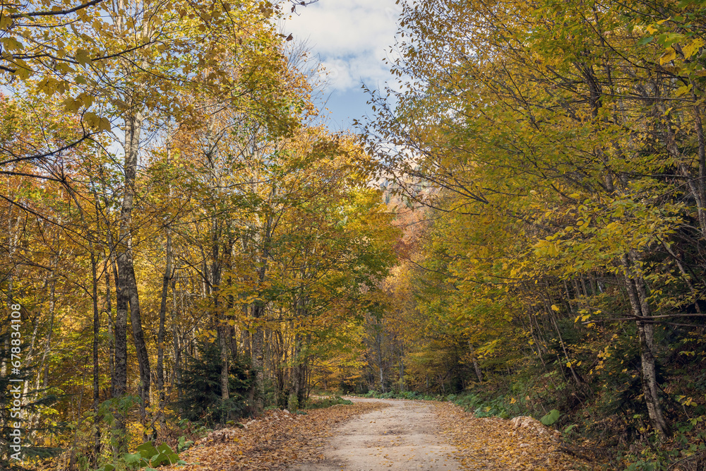 Obraz premium Autumn landscape in the mountains. A dirt road leads to the mountain peaks.