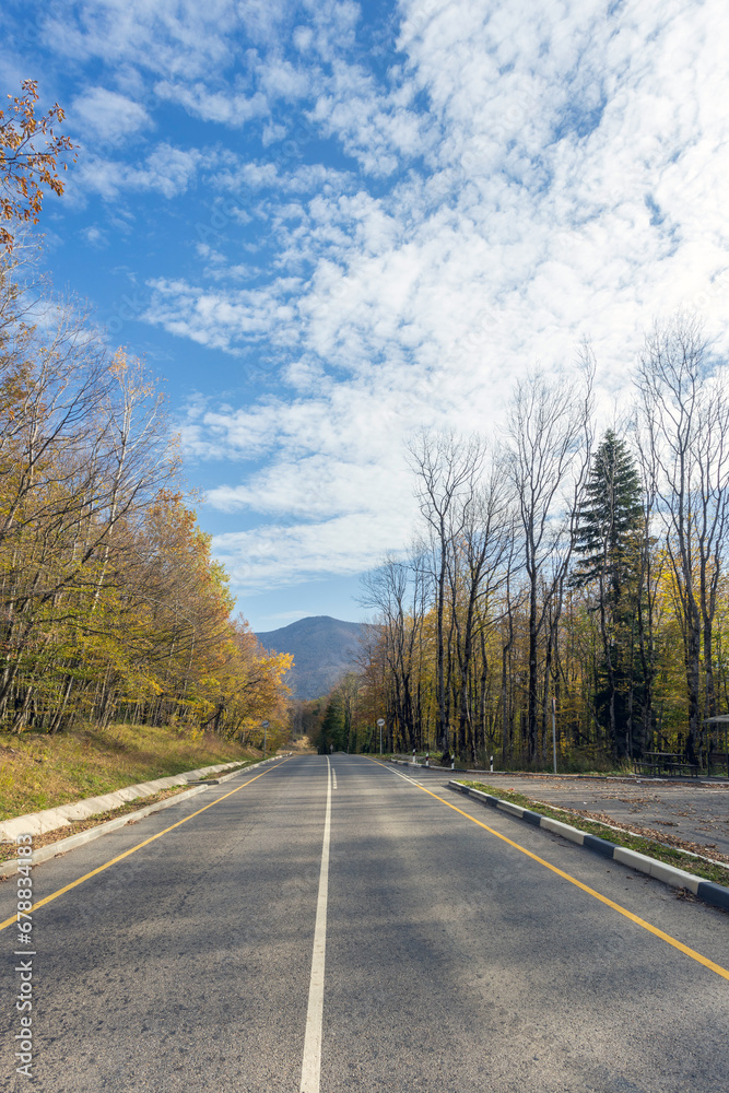 Road in the autumn forest. Beautiful empty mountain road,