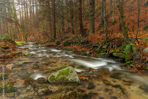 Ponikly creek with flood water after night rain in autumn morning photo