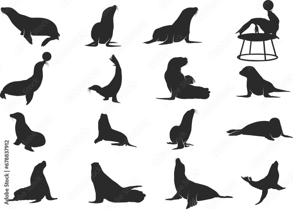 Φωτογραφία Seal silhouette collection, Seal SVG, Sea lion silhouettes, Seal clipart
