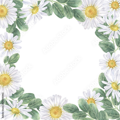 Chamomile Frame border. Watercolor botanical illustration of Daisy Flower. Hand drawn white camomile on isolated background. Drawing of bouquet of marguerite. Template square card with copy space