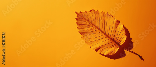 Orange leaf on a solid orange background with space for text