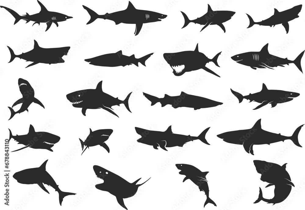 Fototapeta premium Shark silhouette, Shark silhouettes, Shark icon set, Shark clipart, Shark vector illustration