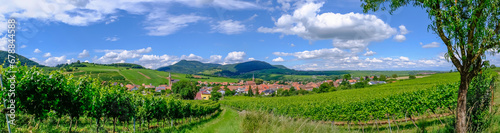 Blick auf den Weinort Birkweiler photo