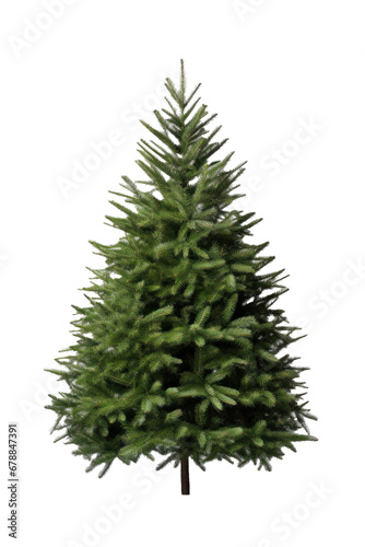 A christmas tree isolated on a transparent background. © tong2530