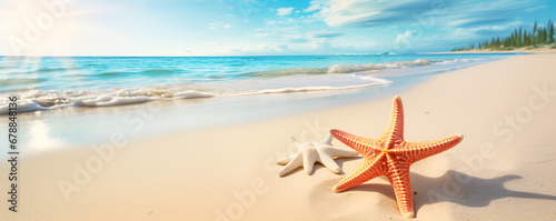 starfish on the beach,Dance of the Starfish: A Coastal Ballet,Sun-Kissed Shorelines: Starfish Serenity,Seaside Treasures: Exploring Starfish Wonders,Whispers of the Ocean: Starfish Tales on the Beachm © Muhammad