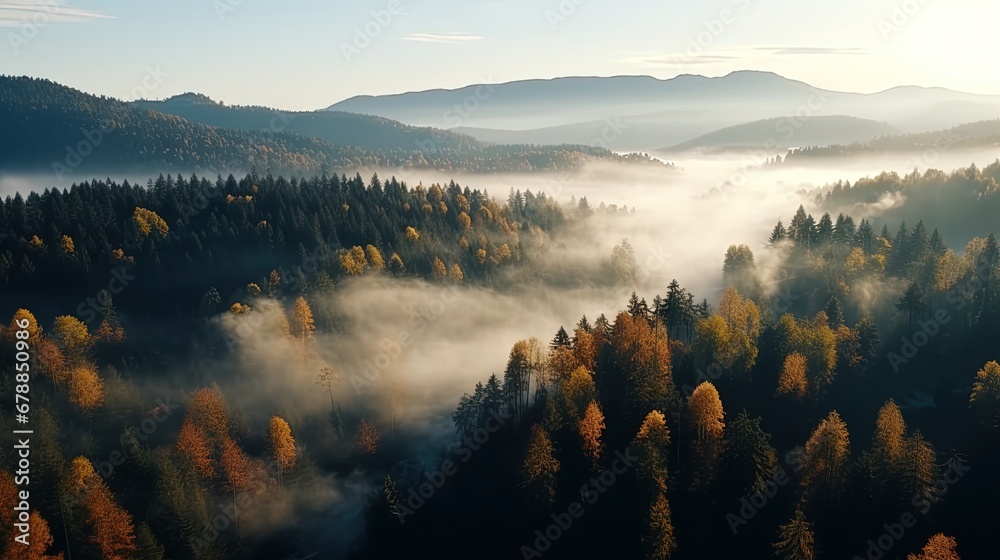 Aerial Drone View of Autumn Forest with Fog Panoramic Landscape - obrazy, fototapety, plakaty 