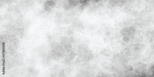 Watercolor white and light gray texture, background. Illustration.	White gray background with soft watercolor texture. Watercolor chaotic texture. Abstract grey white background.	
