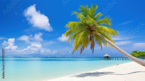 Tropical landscape with beautiful palm trees, White sand beach on island panorama