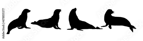 Set of seal silhouette - vector illustration