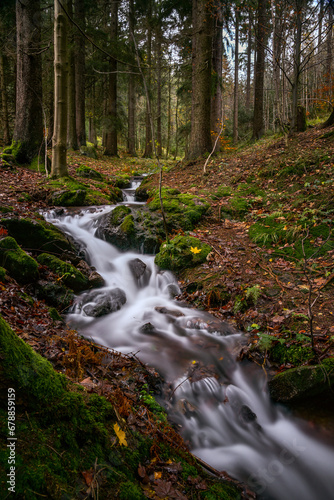 Wald mit Bach bei Goldlauter-Heidersbach / Thüringer Wald