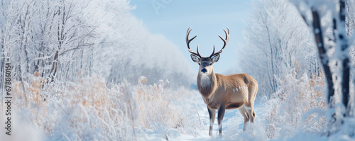 A front view of the deer in snowy forest. generative ai © Michal