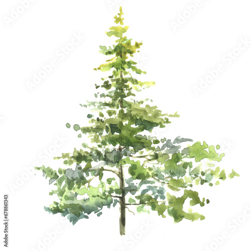 Watercolor illustration of christmas tree