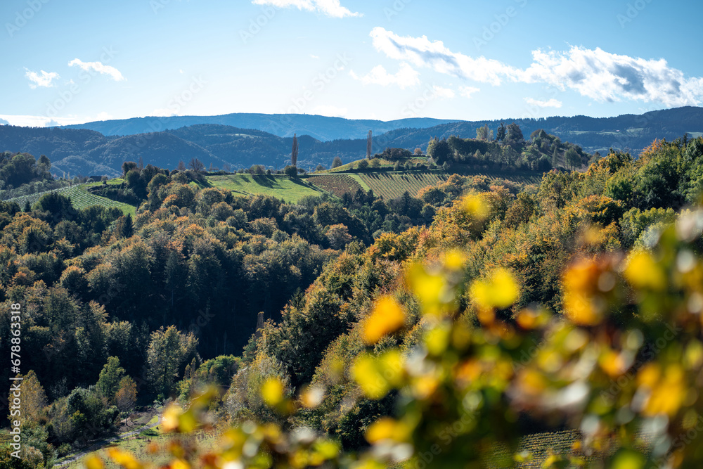 South Styrian wine route during autumn