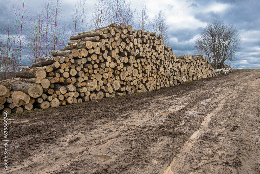 Stolen trees stacked on the side of the road near the forest. Forest road and firewood piled up in a pile.