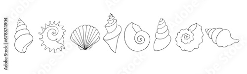 A set of linear sketches and coloring pages of seashells. Vector graphics.