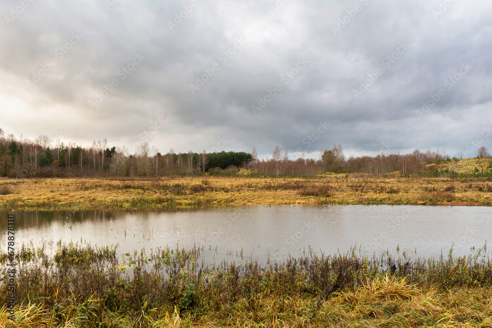 Late autumn, a bleak landscape. A swampy lowland and a field with dried grass. Rainy cloudy day