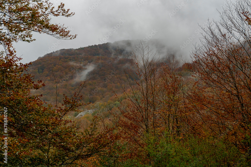 INCREDIBLE LANDSCAPE WITH AUTUMN COLORS IN THE GORBEA NATURAL PARK IN ALAVA SPAIN. NATURA 2000 NETWORK.