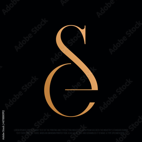 Modern professional monogram in the shape of the SE