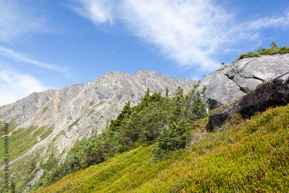 Upper Dewey Lake Area Landscape And Mountain